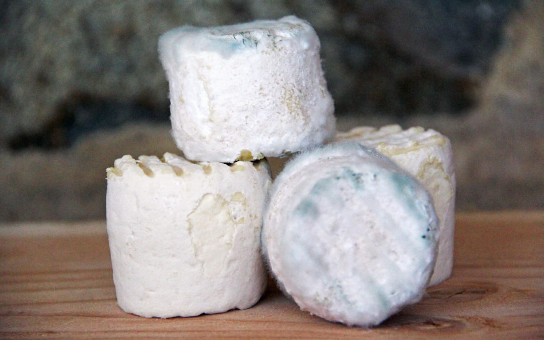 Le Mac Bio, un fromage de vache bio, de la Ferme de l'Espoir